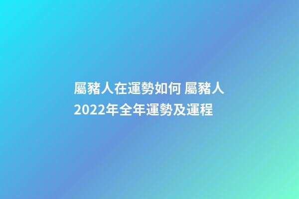 屬豬人在運勢如何 屬豬人2022年全年運勢及運程